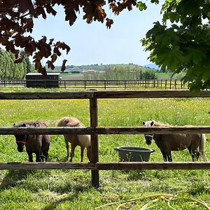 Le Petit Paddock Villeneuve-les-Cerfs